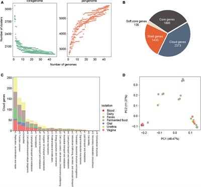 Characterization of the probiotic properties of Lacticaseibacillus rhamnosus LR6 isolated from the vaginas of healthy Korean women against vaginal pathogens